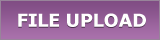 File Upload